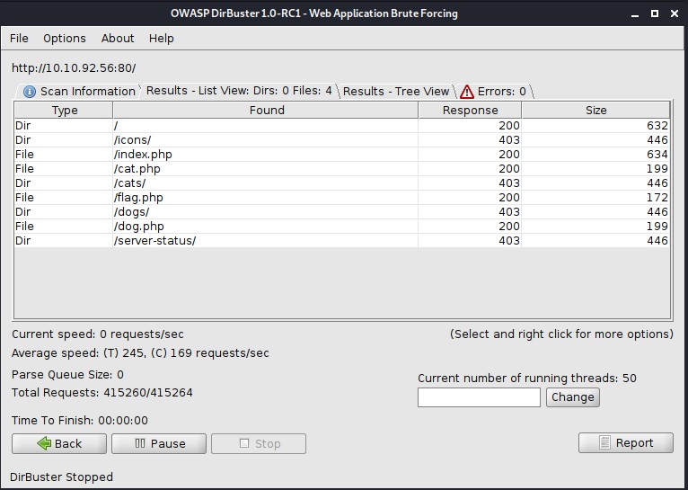 dogcat dirbuster scan results