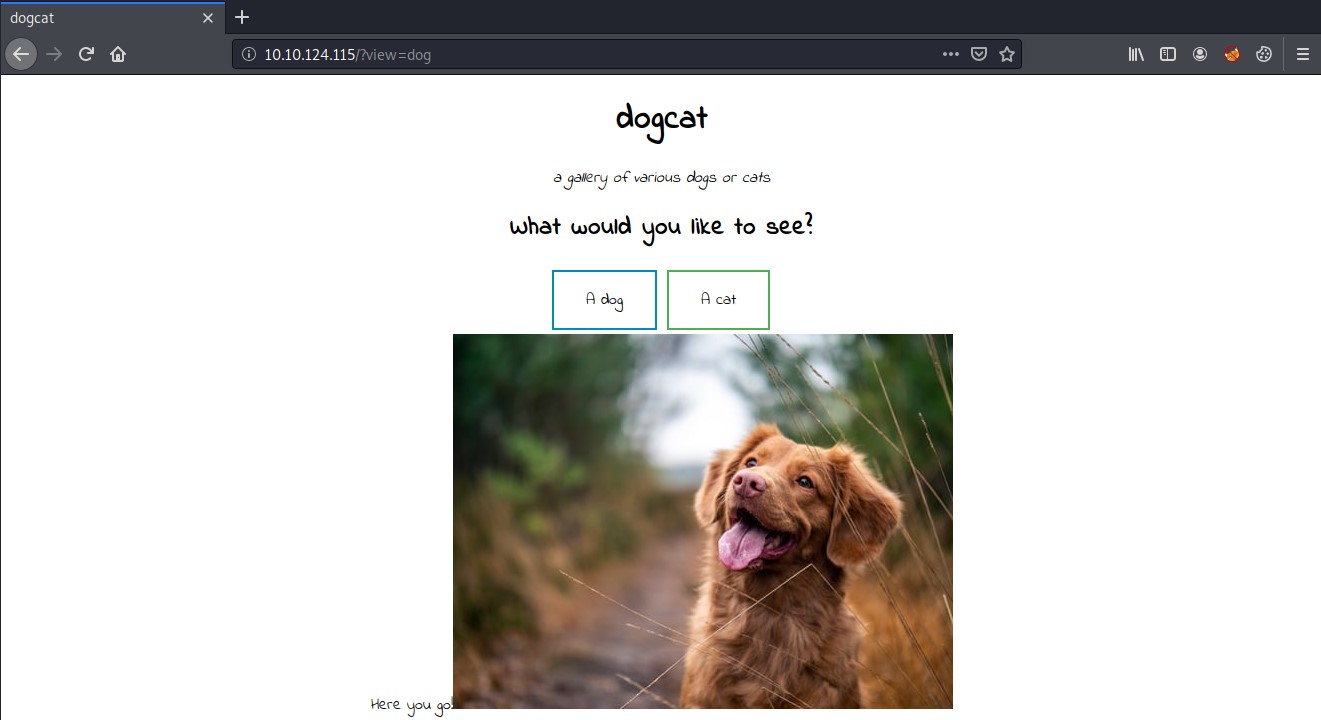 dogcat web application