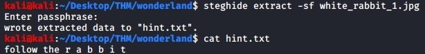 Extracting hidden file with steghide