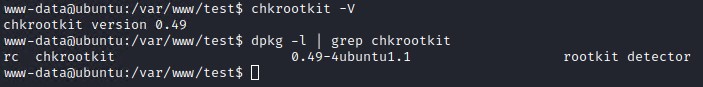 chkrootkit version